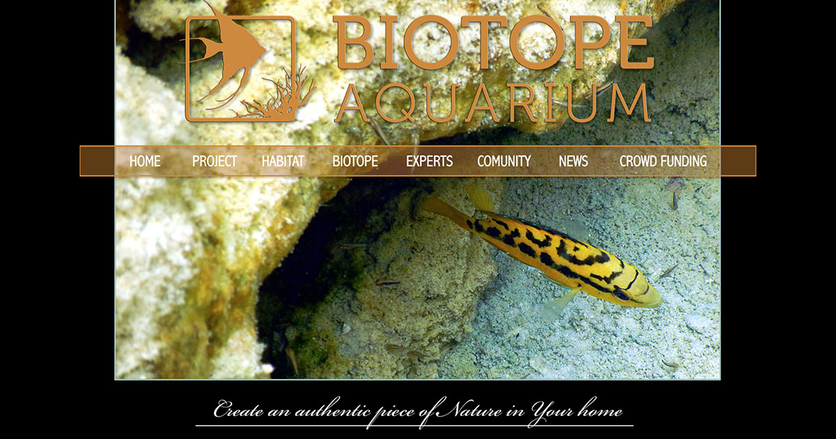 BIOTOPE AQUARIUM Project by Natasha Khardina - Indiegogo
