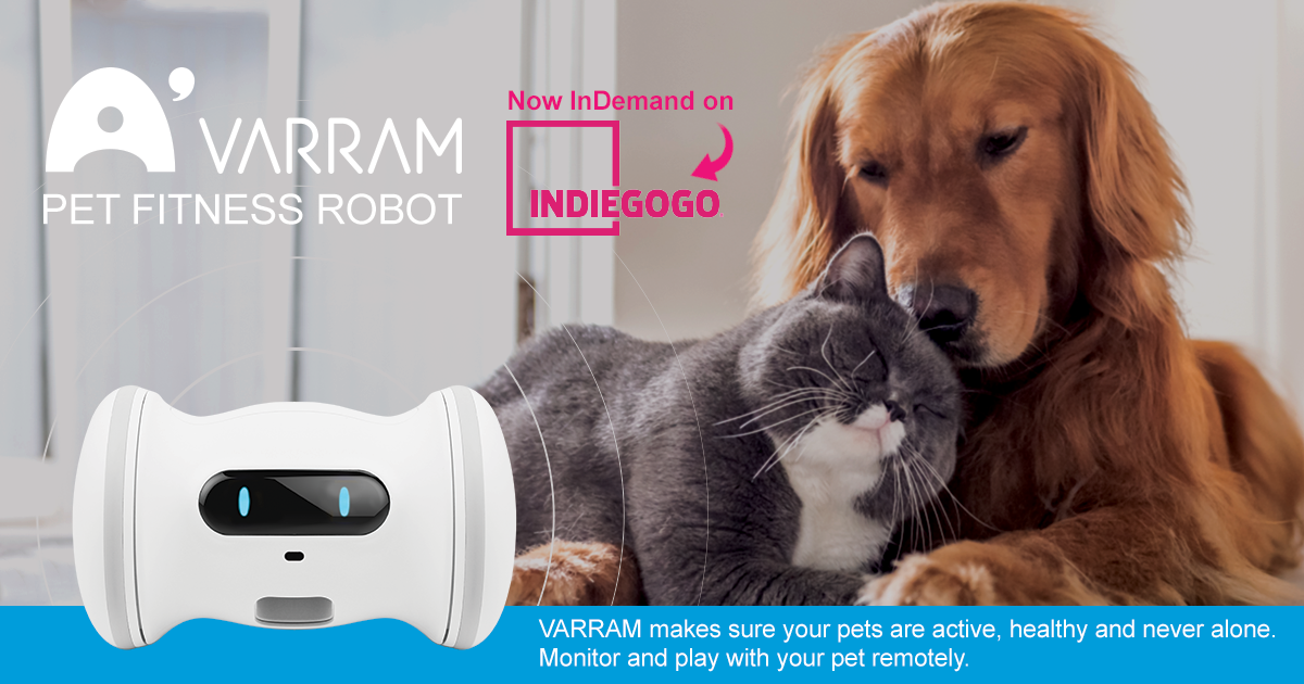 A Smart Robot For Your Pet - VARRAM by VARRAM - Indiegogo