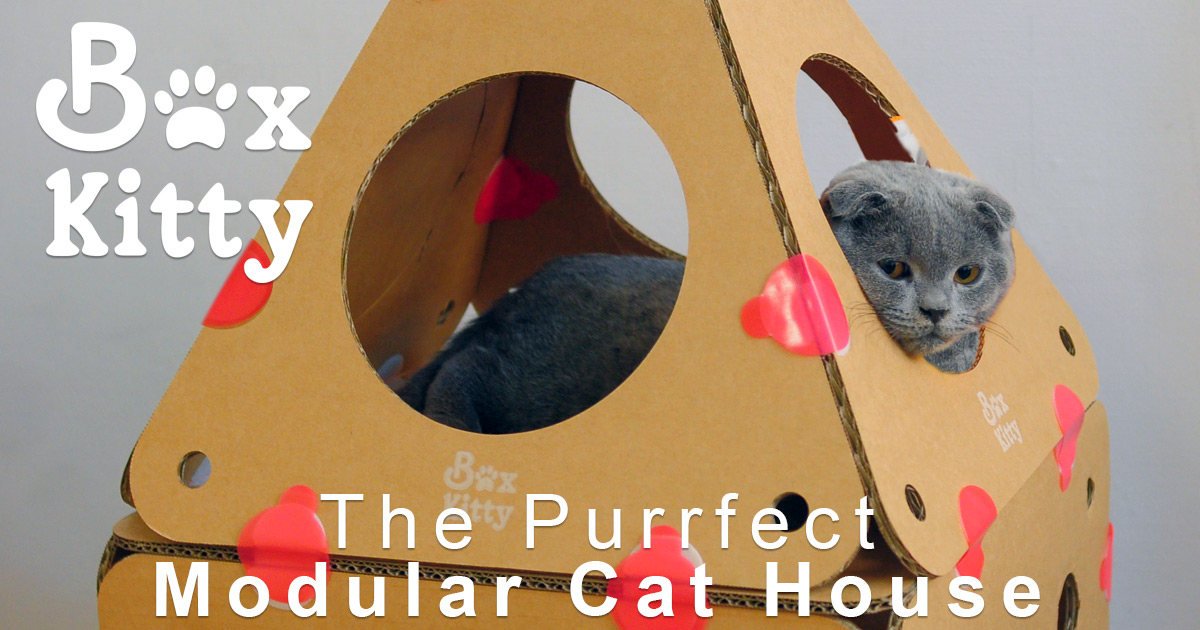 BoxKitty - The Modular Cat house by Edward Lin - Indiegogo