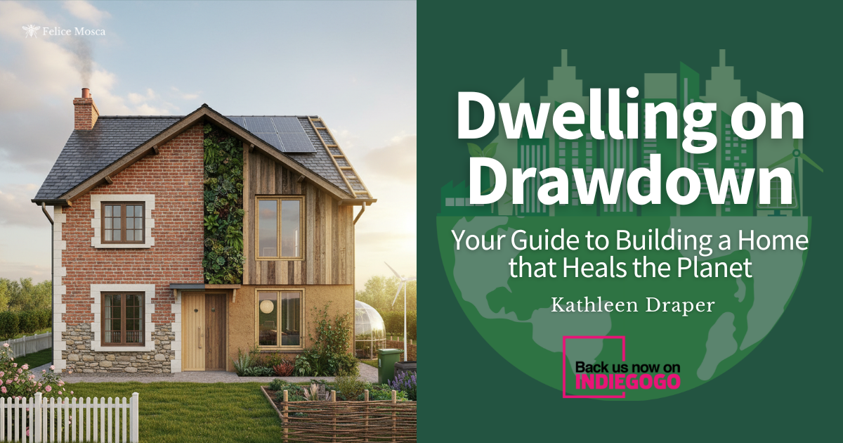 Dwelling on Drawdown by Felice Mosca - Indiegogo