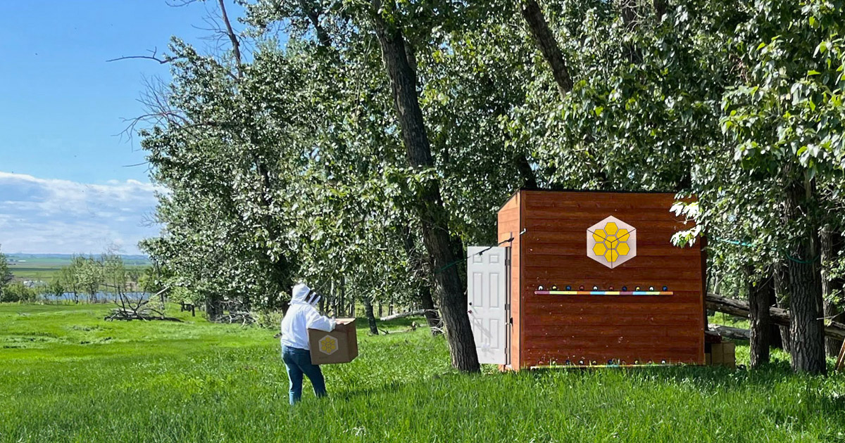 Introducing the Bee Cube by Bee Cube™ - Indiegogo
