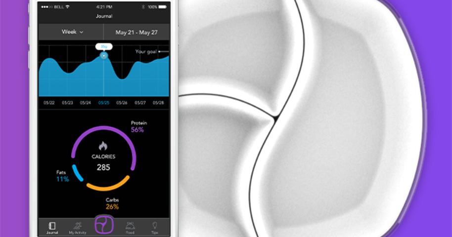 Smart Plate TopView: Your Personal Nutritionist by Anthony Ortiz ...