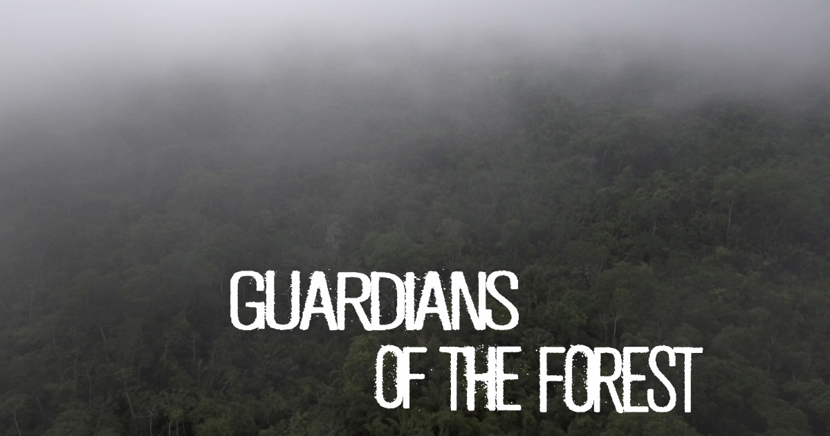 Guardians of the Forest by Frederik Subei - Indiegogo
