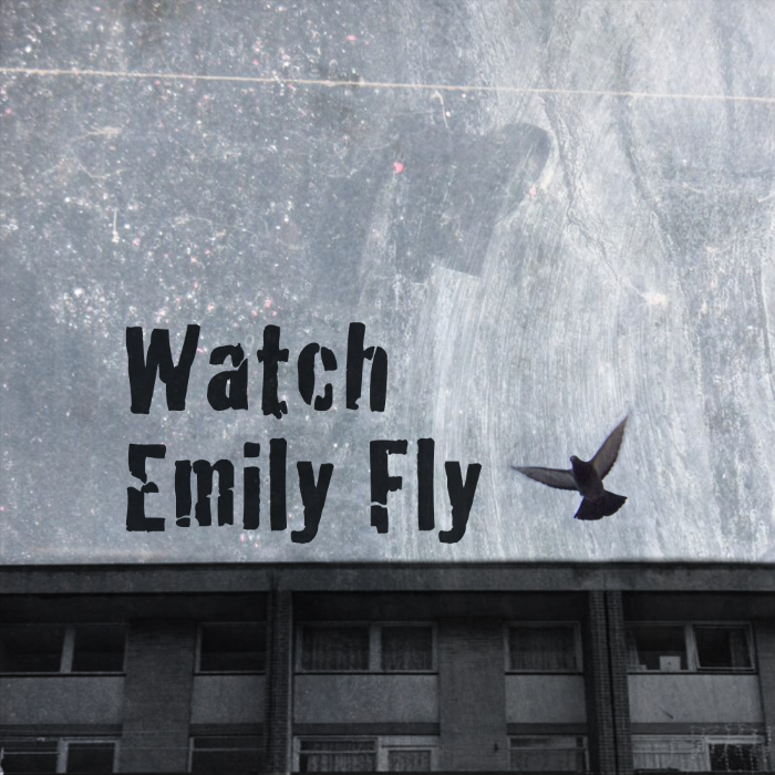 Emily Fly Watch Emily Fly by Craig Robertson - Indiegogo