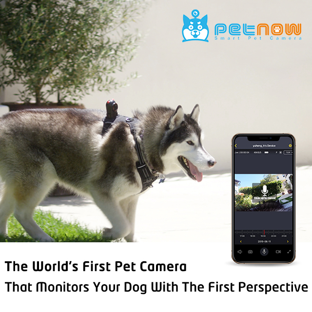 PetNow: Wearable Smart Pet Camera for Dogs by PetNow 2019 - Indiegogo