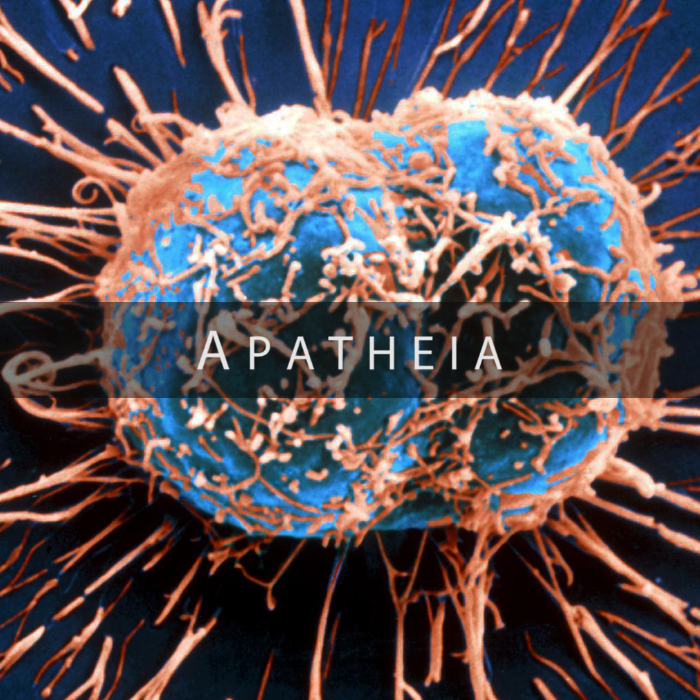 Short Film: Apatheia by Royal Day - Indiegogo
