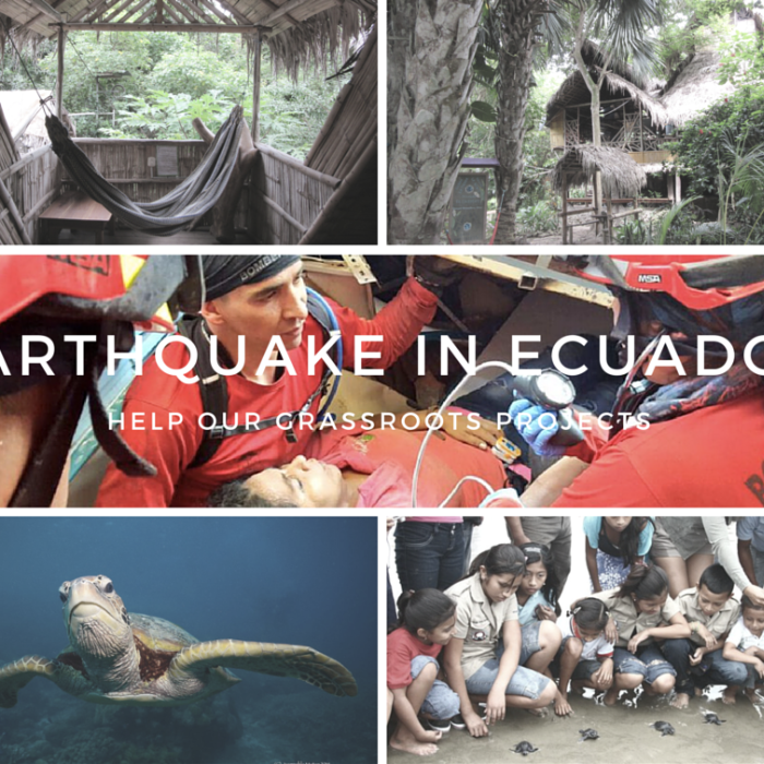 EARTHQUAKE IN ECUADOR Help our grassroots projects by EcuaExplora Team ...