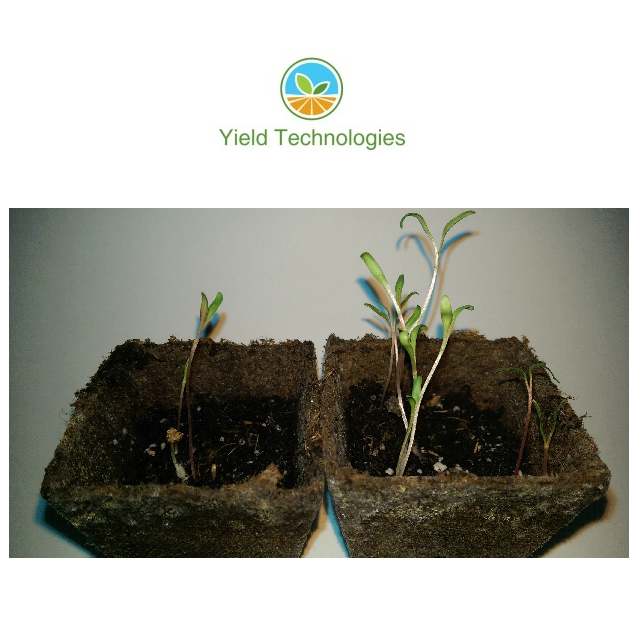 Helping growers with a new fertilizer technology by Yield Technologies ...