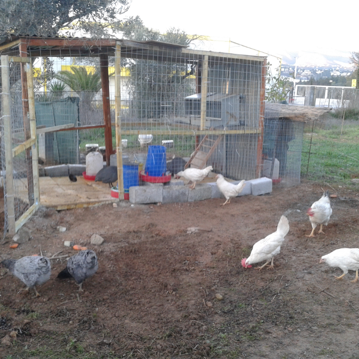 Creating a farm for small animals by Antonis Cheimonidis - Indiegogo