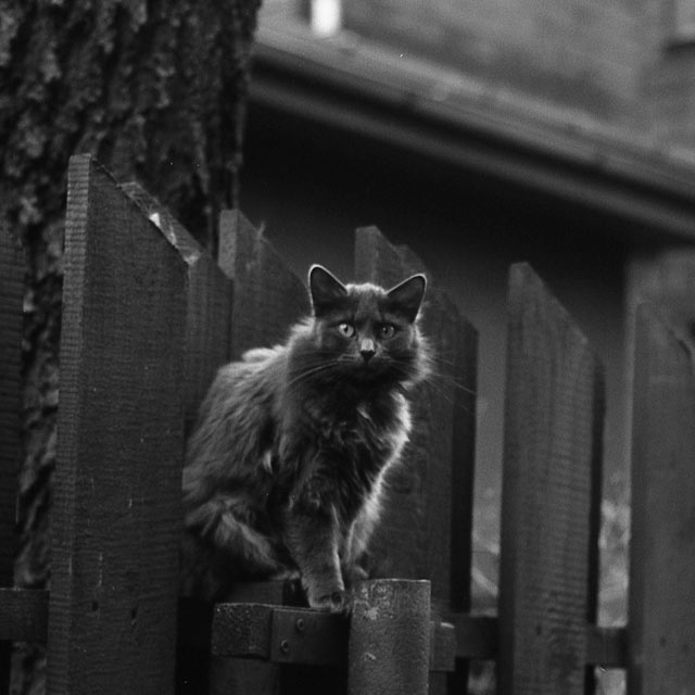 How the other half lives photobook by Nico Baumgarten Indiegogo