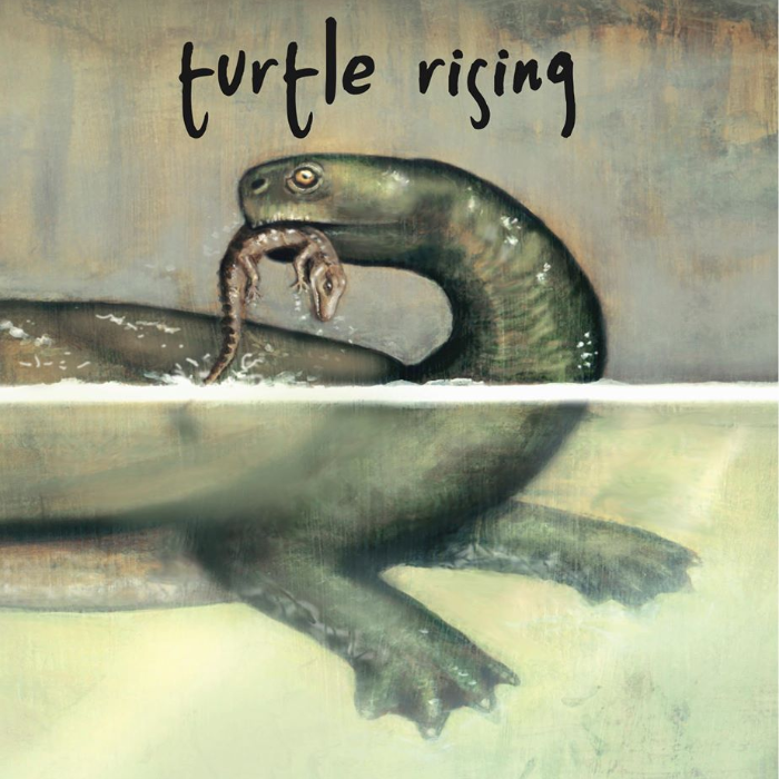 Turtle Rising records first full length album by crosley williamson ...
