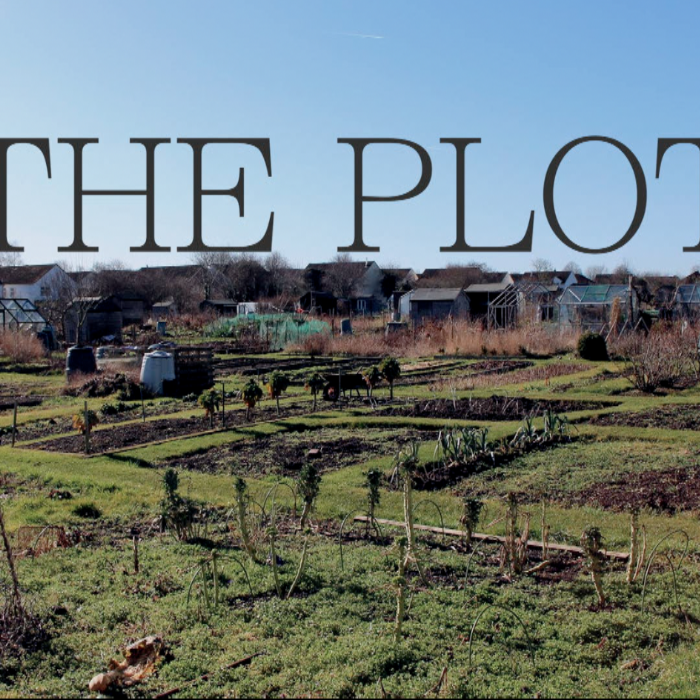 The Plot - Short Film by Rachel Forrester - Indiegogo