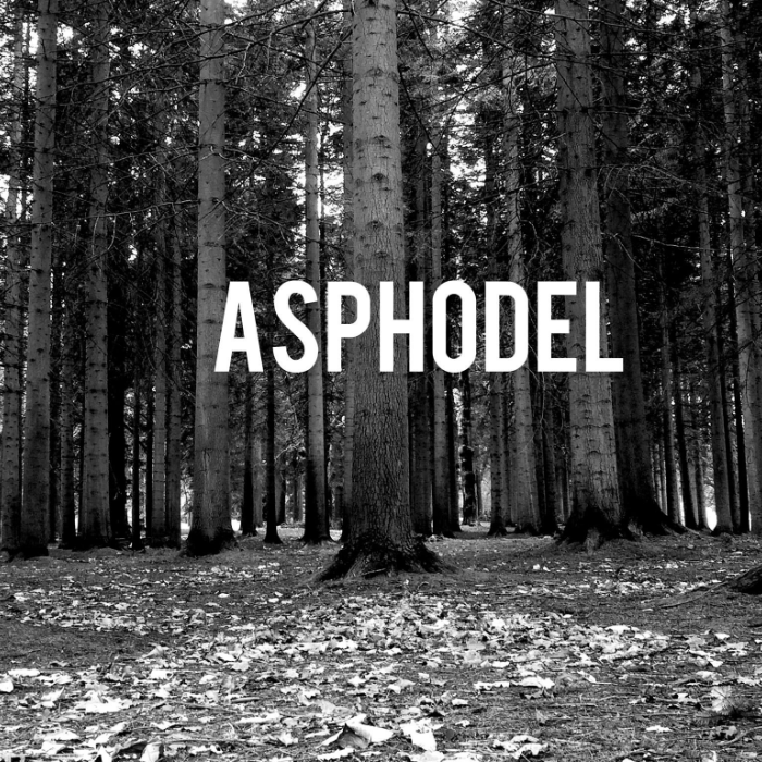Asphodel by Robbie Laing - Indiegogo