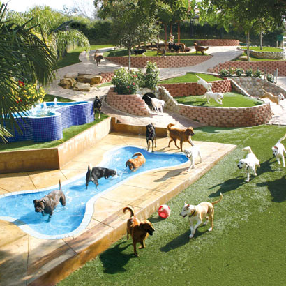 Help Build A Rockstar Play Yard by Rockstar Rescue - Indiegogo