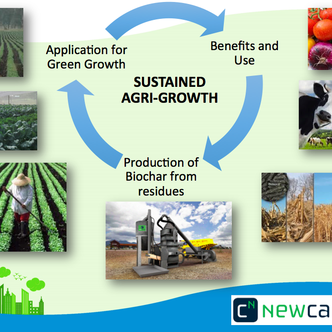 NEW CARBON BIOCHAR INNOVATION by Marius van der Merwe - Indiegogo