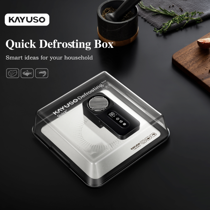 KAYUSO Quick Defrosting Box: Fresh in Minutes by KAYUSO - Indiegogo