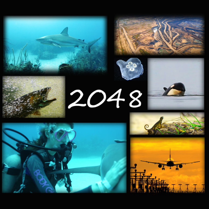 2048: The Sixth Mass Extinction - Feature Documentary by Julia Barnes ...