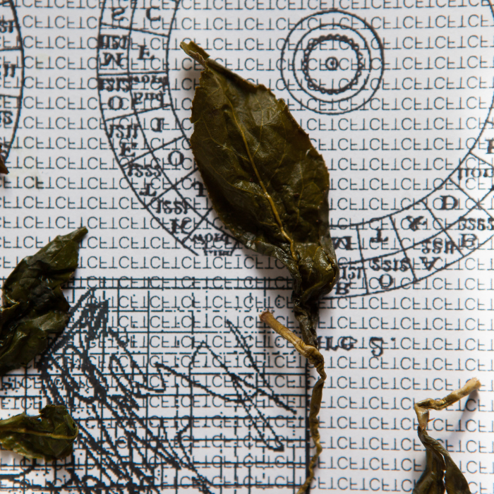 TCF Tiny Encryption Algorithm TEA by Lars Holdhus - Indiegogo