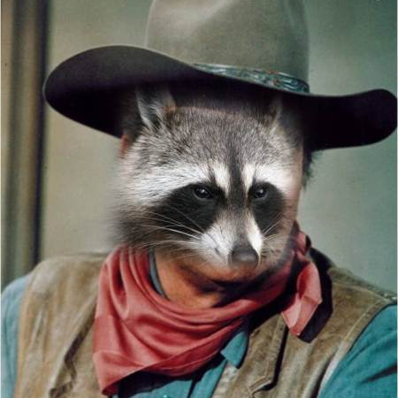 ROCKY RACCOON by Michalis Aristomenopoulos - Indiegogo