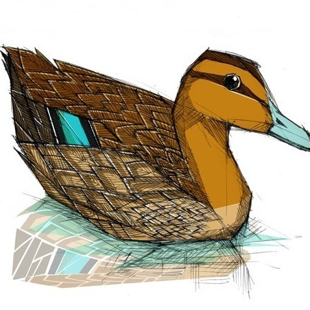 The Philippine Duck Project by Beth Roberts - Indiegogo