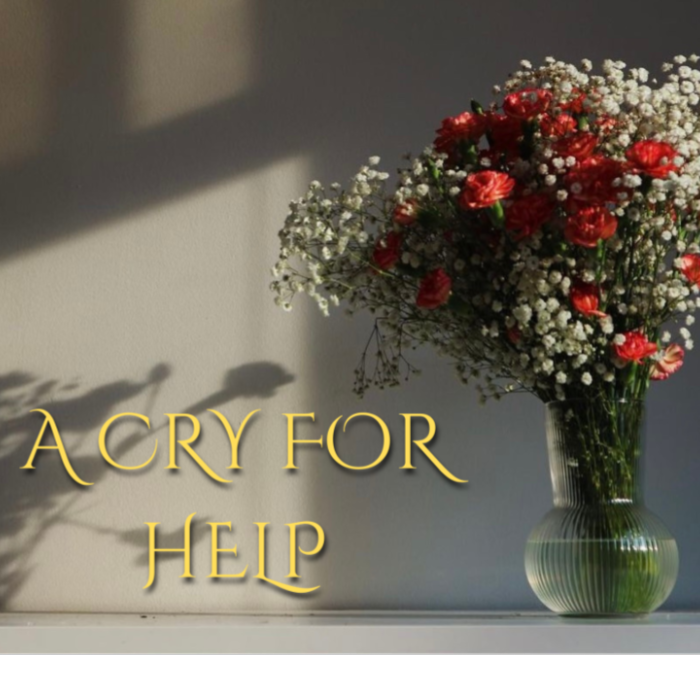 A Cry For Help by Pilani HowieRodrigues Indiegogo