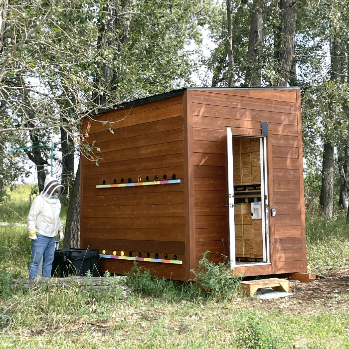 Bee Cube R Introducing the Bee Cube by Bee Cube™ - Indiegogo