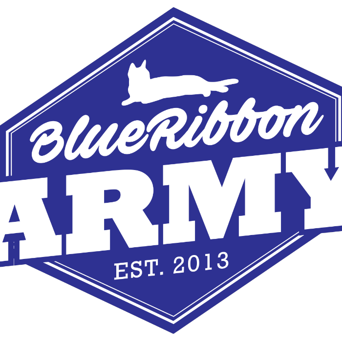 Blue Ribbons Army Blue Ribbon Army Lanyard Fundraiser by Jennifer Hinds - Indiegogo