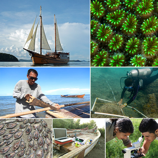 Vessel for Inquiry - a marine learning lab : PILOT by Tasneem Khan ...