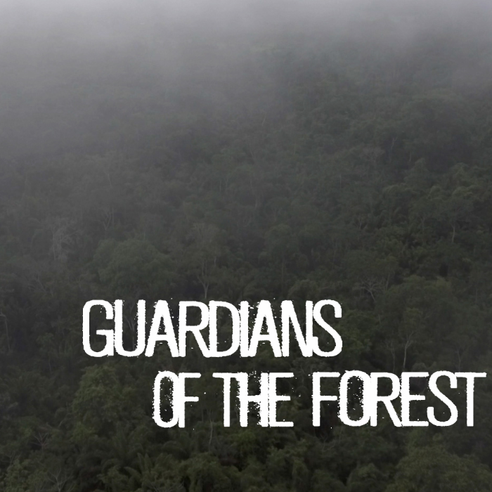 Guardians of the Forest by Frederik Subei - Indiegogo
