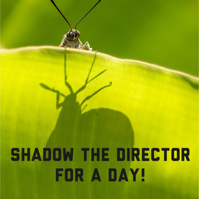 https://cdn.images.indiegogo.com/productimage/projects/56010/29135d88-c97a-410e-a213-8b90b0833cd0.png
