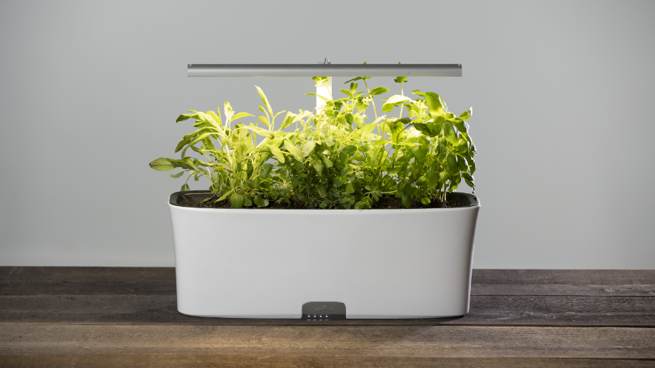 Botanium Vega - Simplified Indoor Gardening by Botanium - Indiegogo