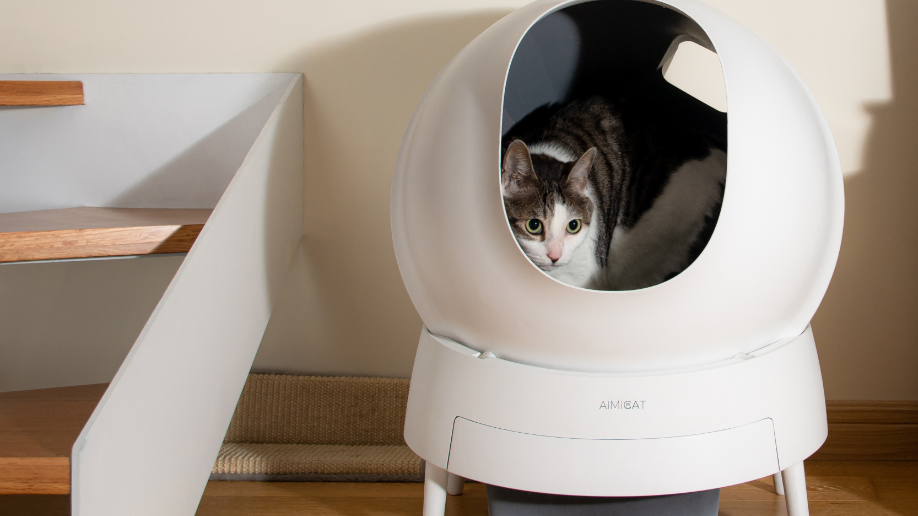 amazon cat water fountain ipetite Runway Wireless Cat Water Fountain with Waterproof Self-Contained Battery and Pump, 4L, main image 0