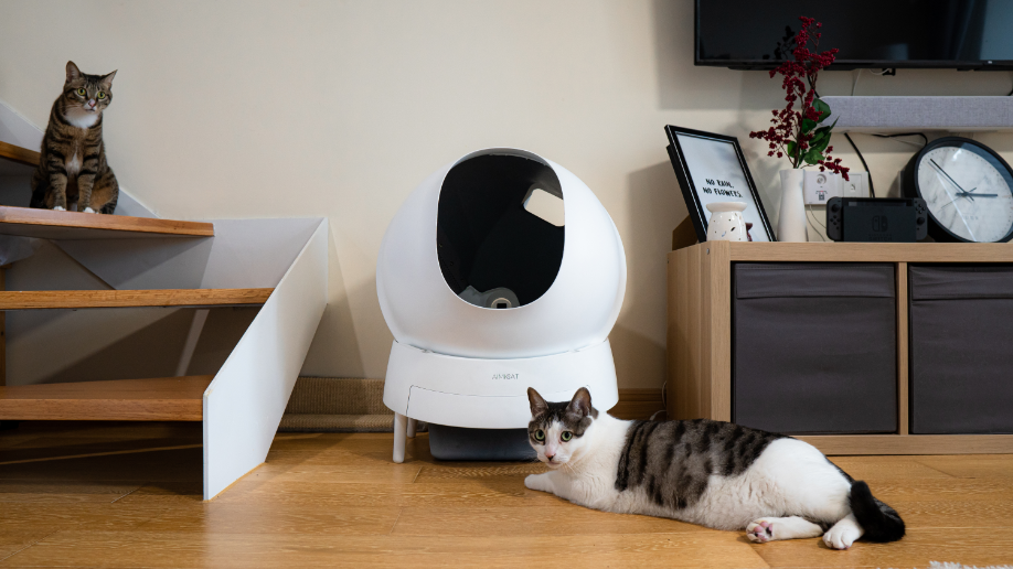 Aimicat, The Best Automatic Cat Litter Box by Aimicat - Indiegogo