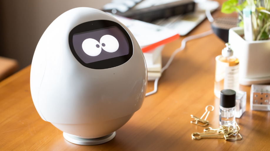 TAPIA: AI Robot Companion Learning Your Lifestyle by MJI Inc