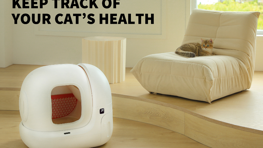 amazon cat balls with spin toys Y YOFUN Smart Interactive Cat Toy