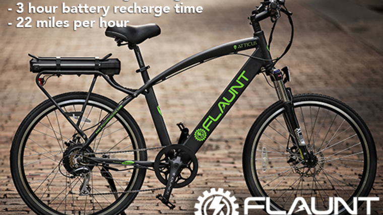 FLAUNT Electric Bicycle by Kevin Mount - Indiegogo