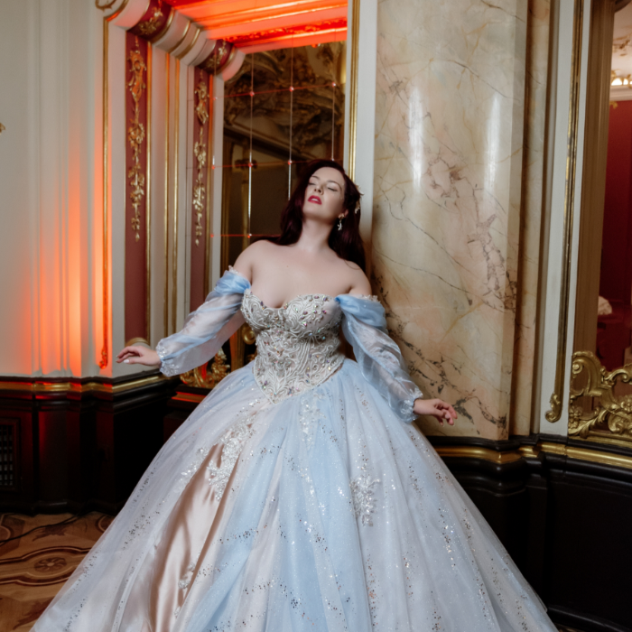 Princess Dress by Princess Dress II Rose Design