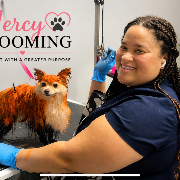 Every Pet Deserves Care, Not Just the Lucky Ones