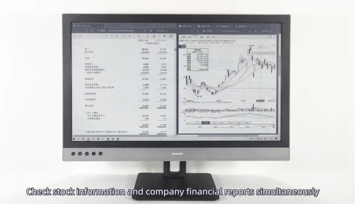 Paperlike 253: The First 25.3 inch E-ink Monitor by DASUNG - Indiegogo