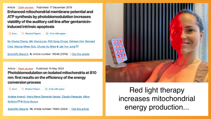 Red Light Rising Target Light 3.0: Handheld Red Light Therapy by Red Light Rising Ltd ...