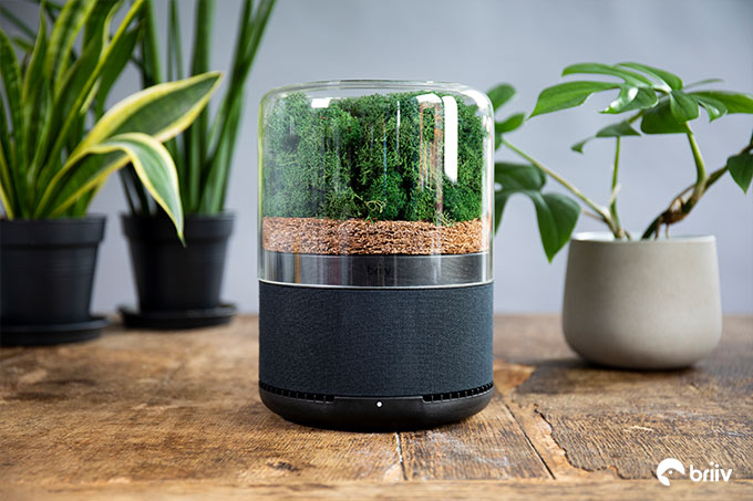 The briiv Air Filter - Unlock The Power Of Plants by Sean Sykes 