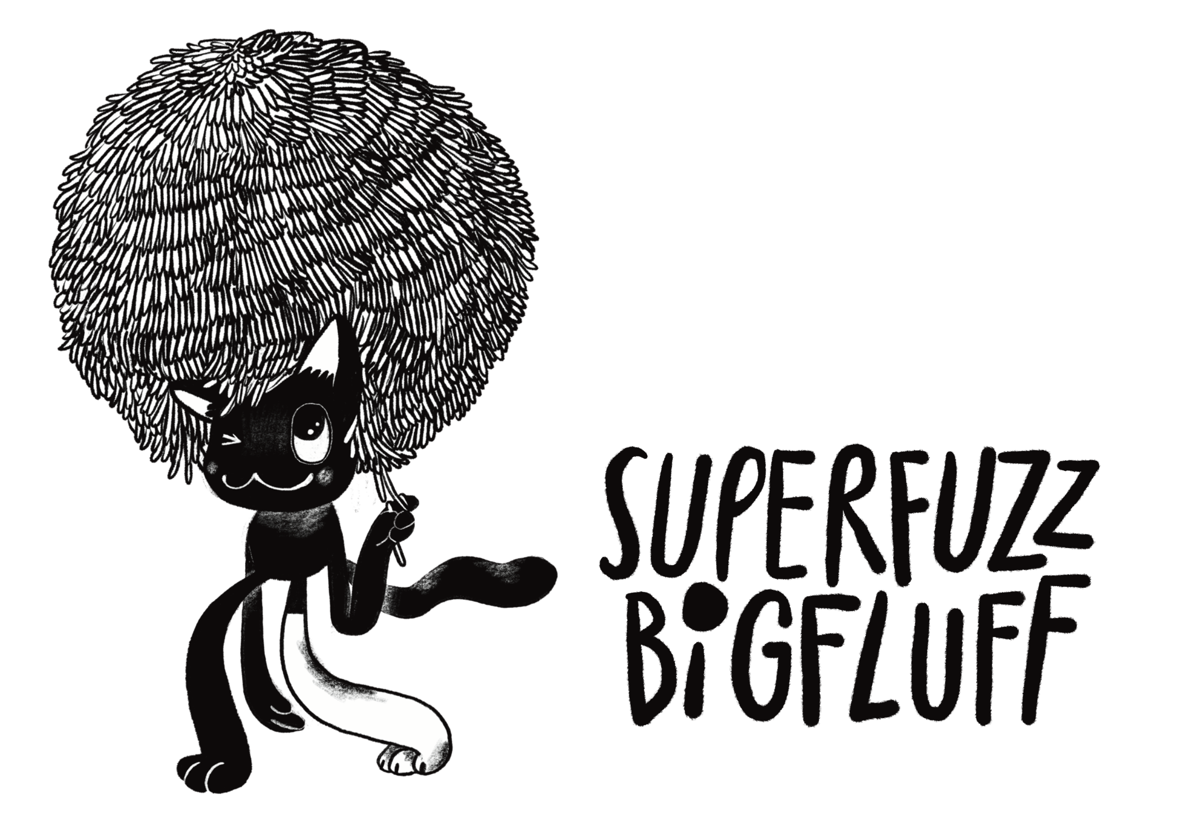 Superfuzz Bigfluff: The World's Largest Pom Pom by Joe Martine