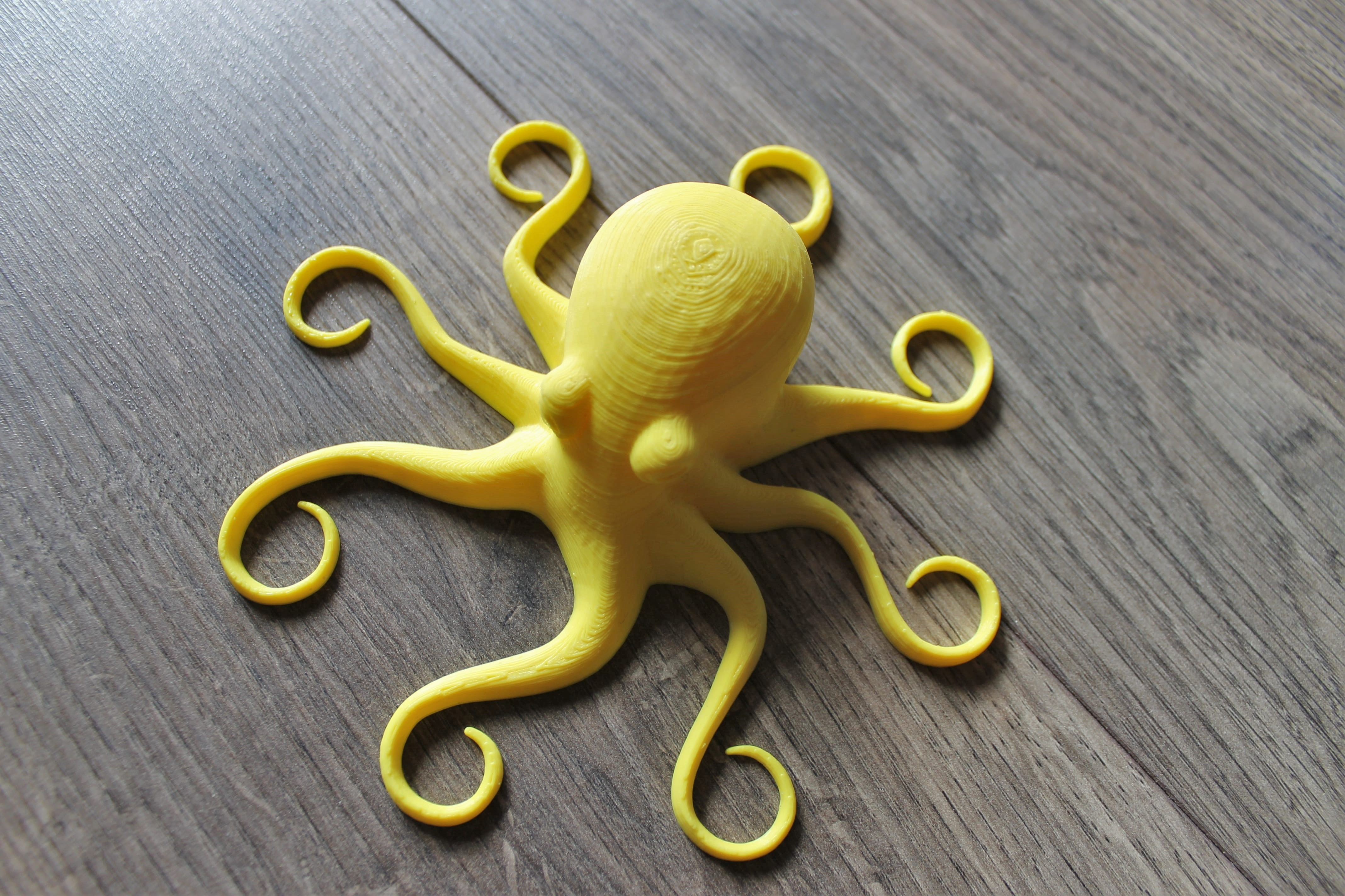3D-PRIN太郎品 NEPTUNE - The BIG and AFFORDABLE 3D Printer by Aljaž Šegula
