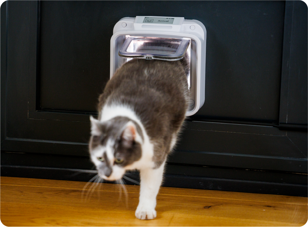 OnlyCat - The World's Smartest Cat Flap by OnlyCat Team - Indiegogo