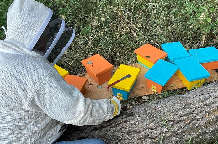 Introducing the Bee Cube by Bee Cube™ - Indiegogo