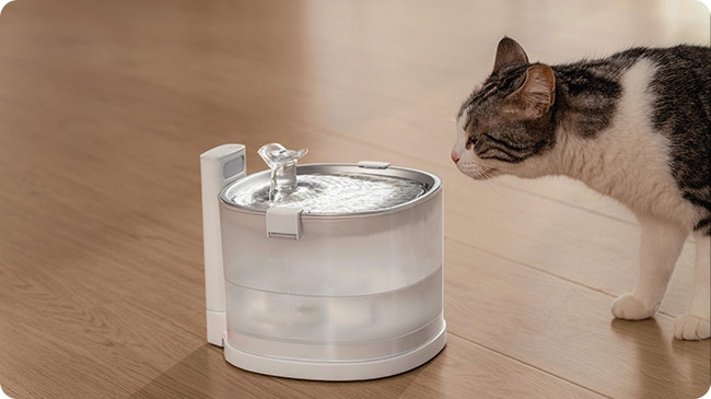 3 bowl elevated dog feeder with storage 3 bowl elevated pet feeder with storage drawer with drawer in gray  The  LoveMade Home
