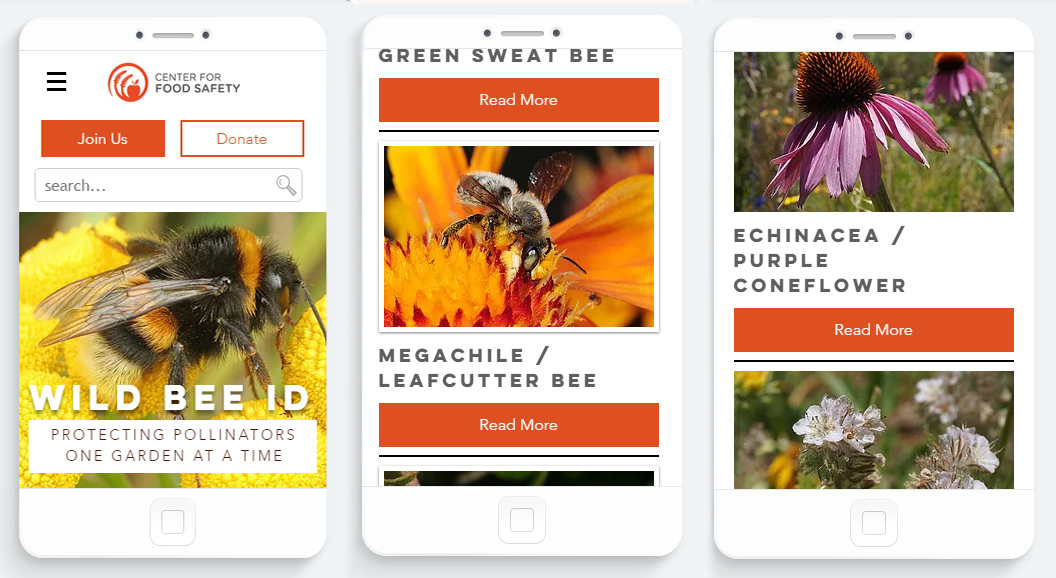 Wild Bee ID: Save our Bees with an App by Center for Food Safety ...