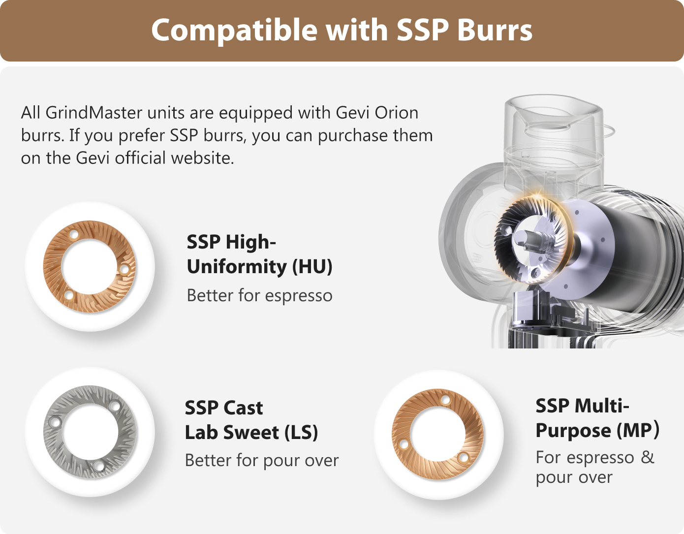 Gevi GrindMaster: Ultimate Stepless Coffee Grinder by Gevi Home 