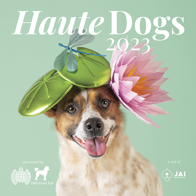 Haute Dogs x Jai Dog Rescue Calendar 2023 by Awon Golding - Indiegogo