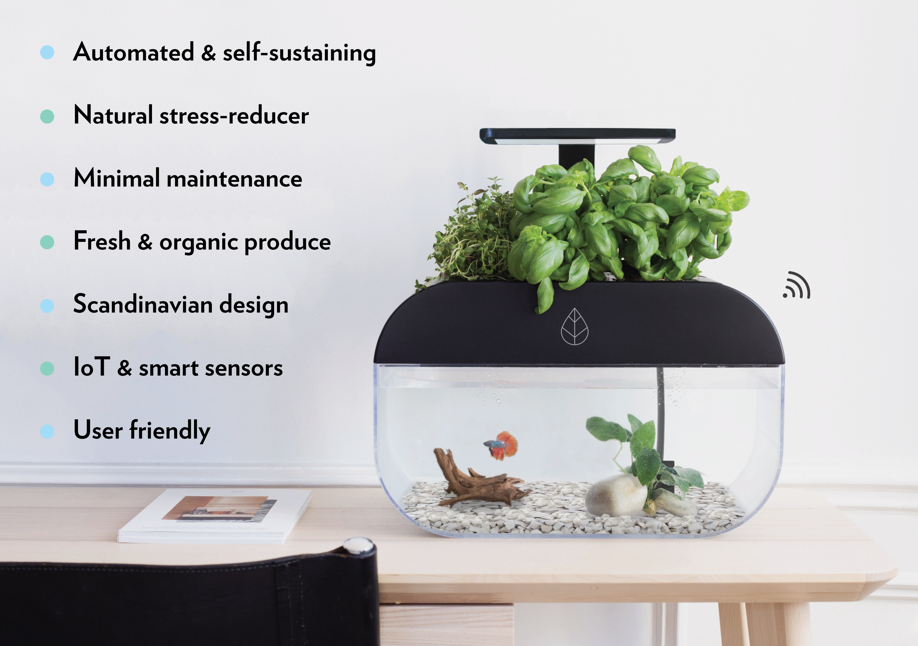 Ecosystem Interactive EcoGarden: World's Smartest Interactive Ecosystem by Ecobloom - Indiegogo